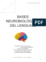 Bases Neurobiologicas Del Lenguaje, Trastorno Adulto