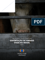 2021BRLiveExportRelatorioExportacaoVergonhaFinal PDF