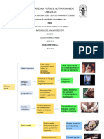 Patologias Digastivas