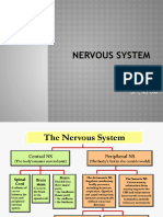 Nervous System