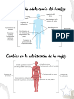 Infografía Cambios en Los Adolscentes