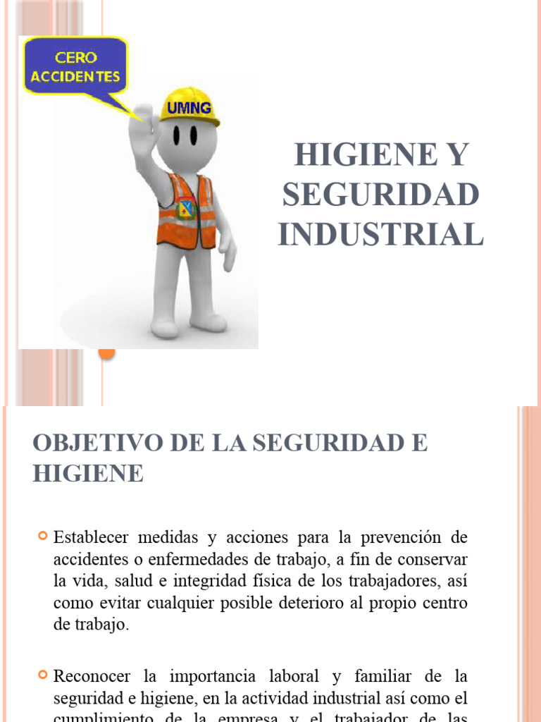 Seguridad e Higiene Industrial: Guía Esencial | PDF | Higiene | Valores
