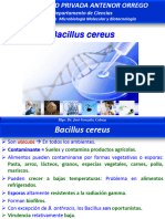 Tema 7.2. Bacillus Cereus - Dr. GONZALEZ CABEZA-1