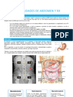 Clase 1 - Abdomen