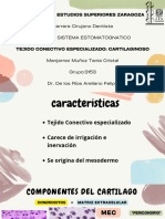 Tejido Conectivo Especializado Cartilaginoso