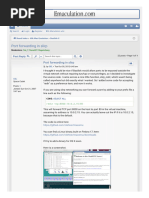 SLIRP PortForwarding