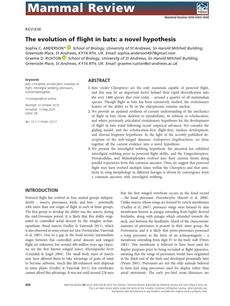Evolution of Bat Flight Hypotheses | PDF | Bat | Mammals