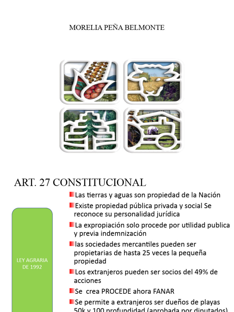 Tipos de Propiedad | PDF | Propiedad | Agricultura