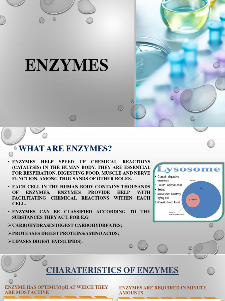 Enzymes PDF Enzyme Chemical Reactions