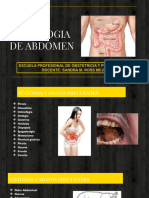 1 Semiologia Abdomen