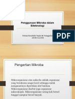 Tugas Bioteknologi Mikroba Fitriani 20-004