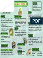 Frog PDF