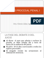 Fase Del Debate y Actividad Probatoria