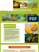 5 Spermatophyta