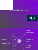 BIOENERGETIKA