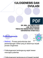 Regulasi Reproduksi (Folikulogenesis Dan Ovulasi)