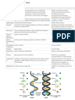 Diferença Entre DNA e RNA