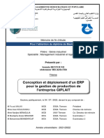 Ms - Final Conception Et Déploiement D'un ERP Pour La Gestion de Prduction Pour L'entreprise GIPLAIT