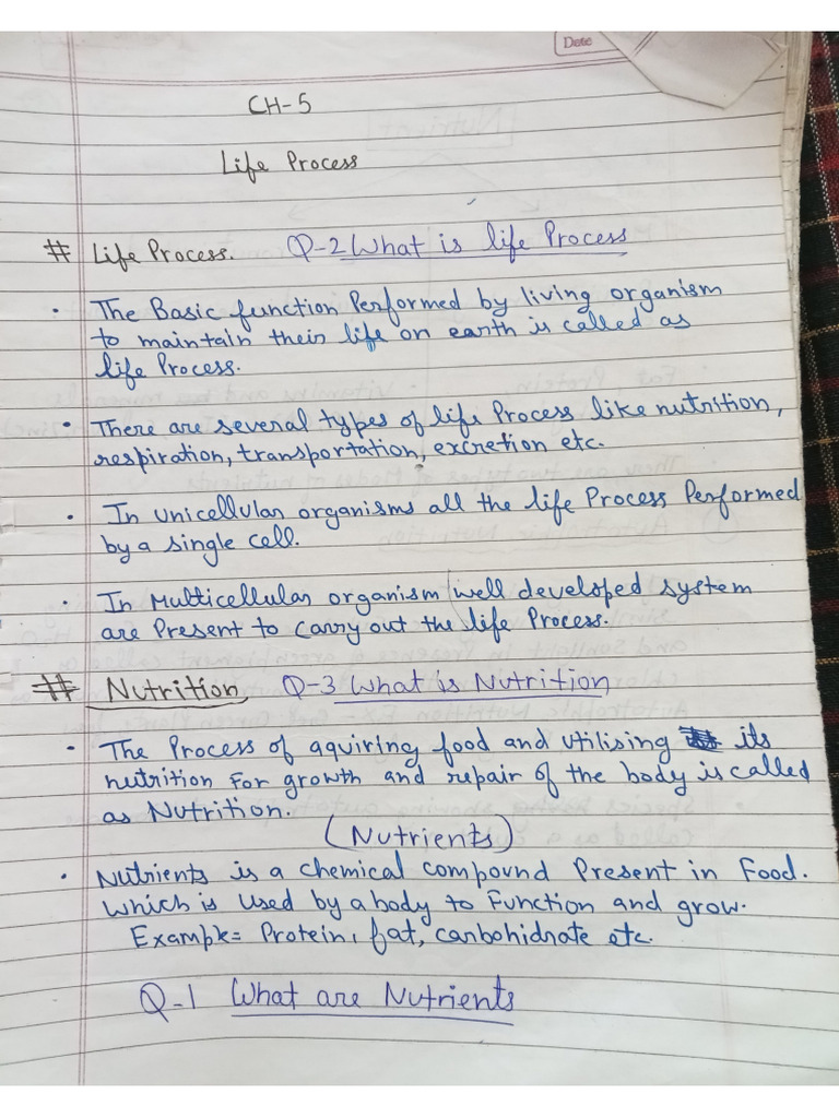 HOW DO ORGANISMS REPRODUCE CLASS 10 HANDWRITTEN NOTES PDF PW visual data 2