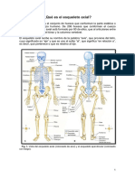 3.E Axial