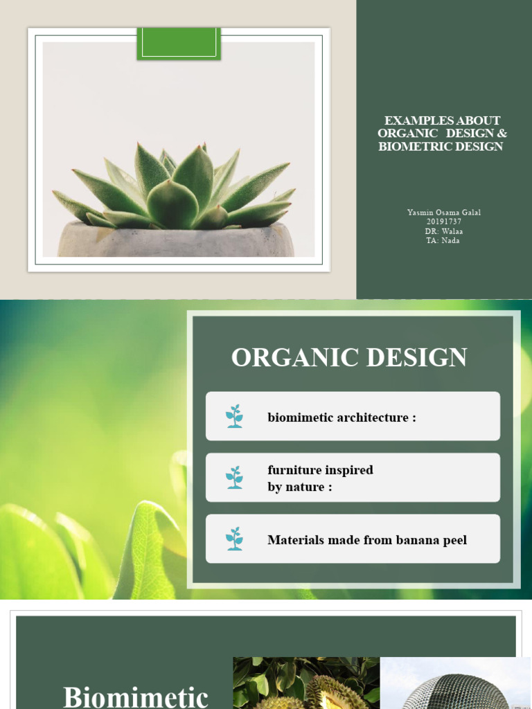 Biometric Form Examples