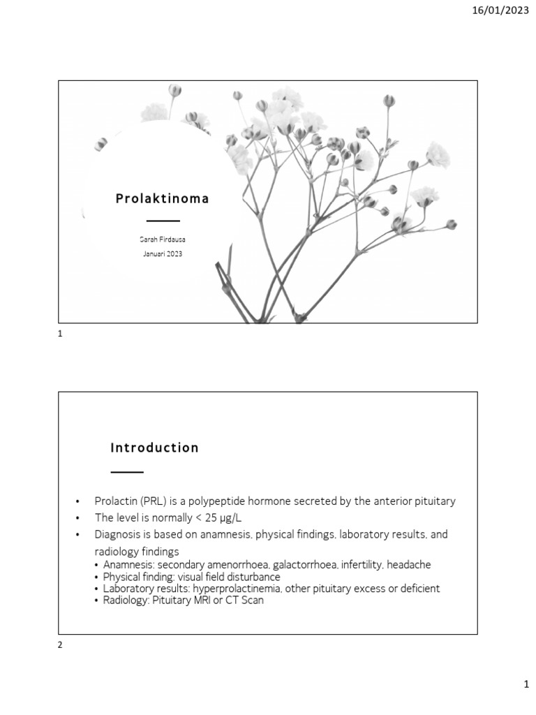 bimbingan-ppds-endokrin-prolaktinoma-slide-1-38-pdf-animal-anatomy