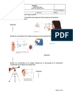 Guía 1 Experimental Caída Libre Estudiante