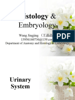 11.urinary System - 169