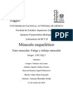 Informe de Musculo Esqueletico