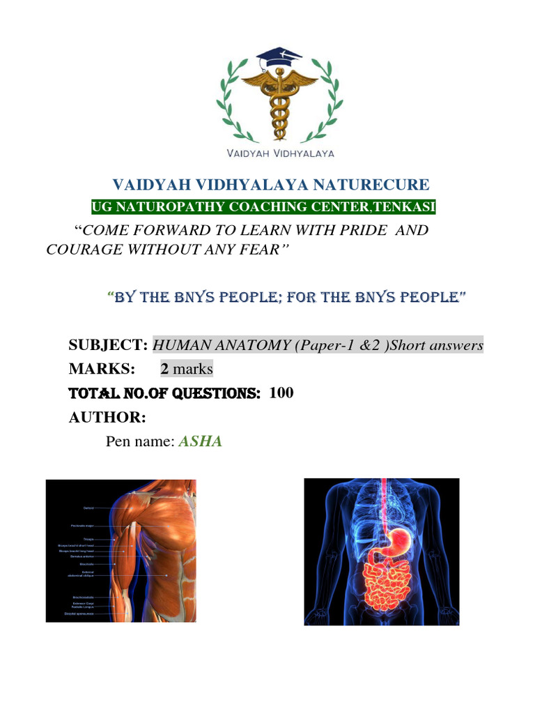 Anatomy visual data 7