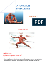 04 - La Fonction Musculaire