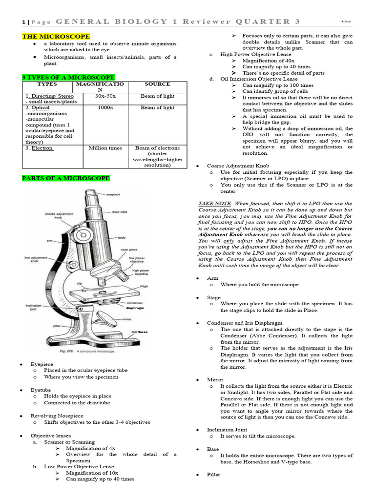 GenBio1 Quarter 3 (Inc) | PDF | Endoplasmic Reticulum | Cell (Biology)