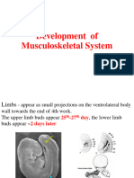 Development of Musculoskeletal System