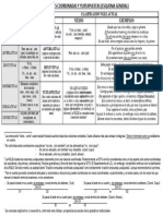 LAS ORACIONES - COORDINADAS - Y - YUXTAPUESTAS - Esquema