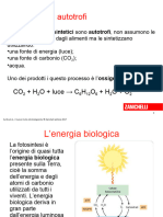 Nuova FOTORESPIRAZIONE