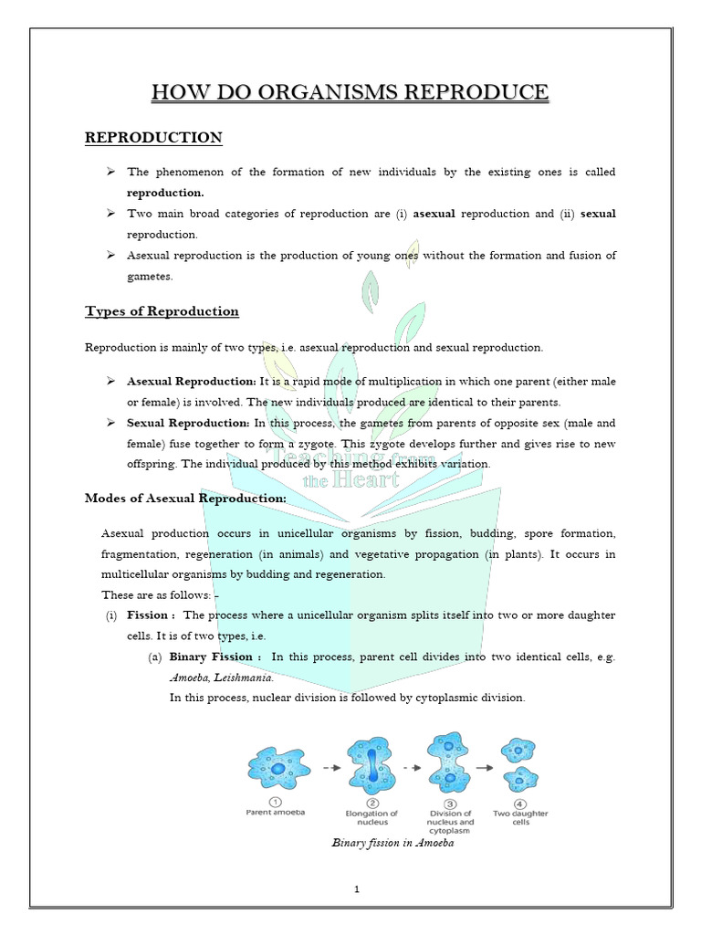 How Do Organisms Reproduce PDF Flowers Sexual Reproduction