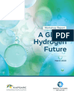 A Global Hydrogen Future