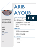 Arib Ayoub: Parcours Professionnel