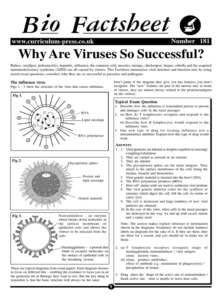 Understanding Viral Success Factors | PDF | Virus | Hiv