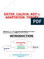 Sister Calista Roy Ppt