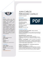 Completa Hoja de Vida Juan Carlos Fernández Castillo