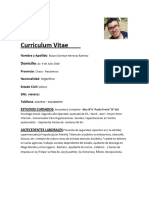 Curriculum Vitae Mauro 1