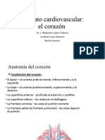 T20 Aparato Cardiovascular CORAZON