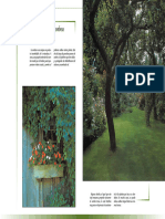 Libro - Diseño de Parques y Jardines - Otoño
