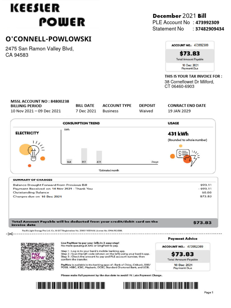 December 2021 Business Tax Invoice | PDF