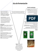 Practica de Fermentación