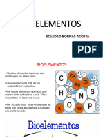 Bioelementos - Unjbg