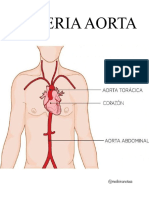 Arteria Aorta