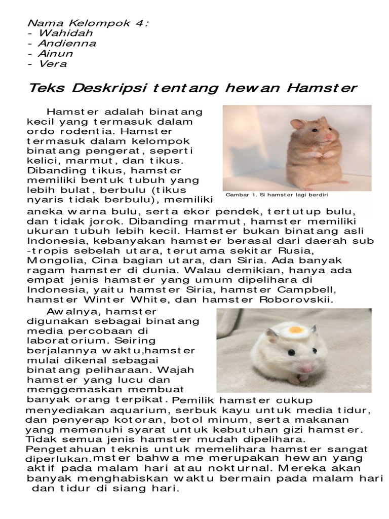 Deskripsi Lengkap Tentang Hamster | PDF | Griya & Taman | Fiksi Umum