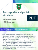 Bion Peptides and Proteins First Semester 2021 2022